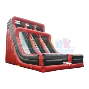 Inflatable Dual Lane Slide