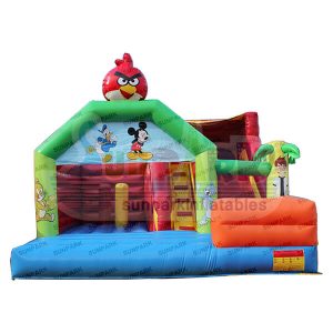 Bouncy Castle Inflatable Slide