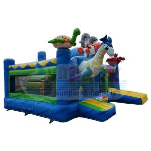 Inflatable Bounce House with Slide