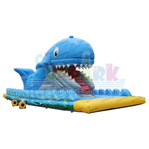 Inflatable Bounce and Slide