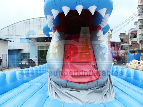 Inflatable Bouncer and Slide Details