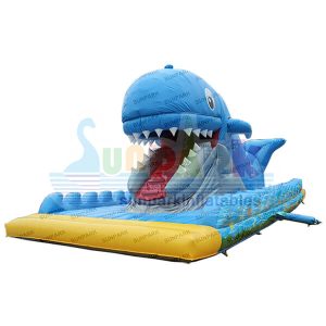 Whale Combo Bounce House