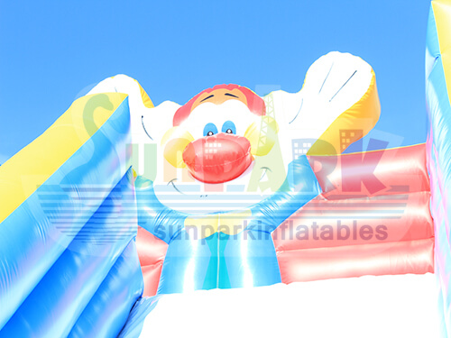 Big Inflatable Slide Details