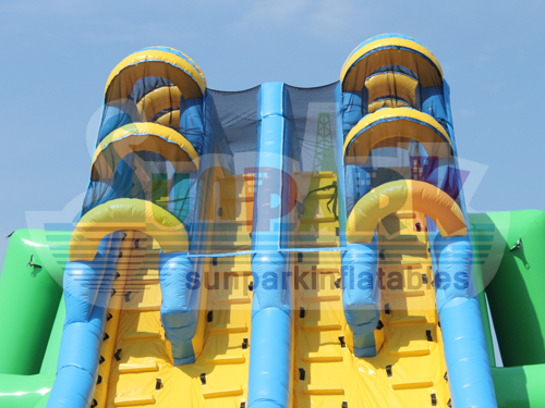 Giant Adult Inflatable Slide Details