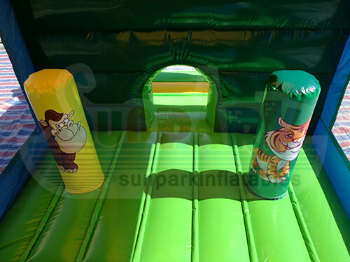 Inflatable Jump House with Slide Details