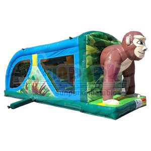 Jump and Slide Bouncer