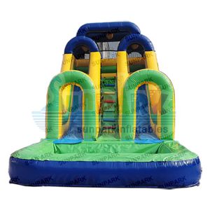 Double Water Slide Inflatable