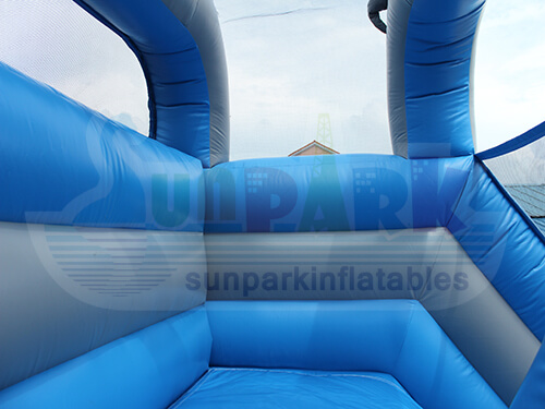 Inflatable Dolphin Water Slide Details