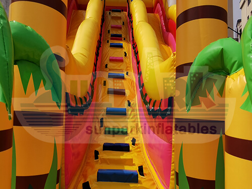 Inflatable Land Water Slide Details