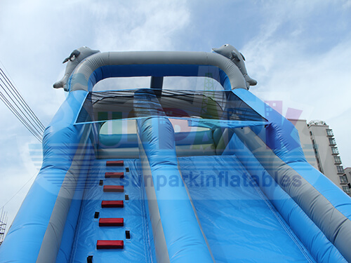 Tall Dolphin Water Slide Details