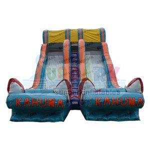 Big Kahuna Water Slide for Sale