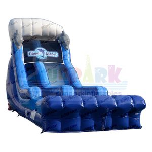 Dolphin Single Lane Water Slide