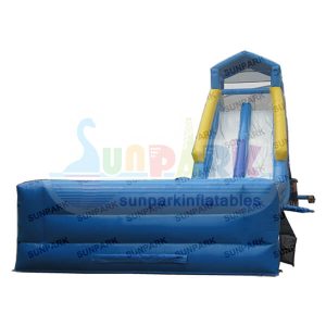 Giant Water Slide Inflatable