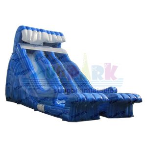 Wave Double Lane Water Slide