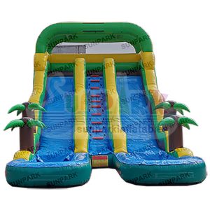 Double Water Slide Inflatable