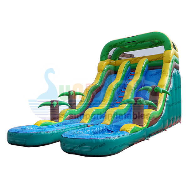 Inflatable Double Water Slide