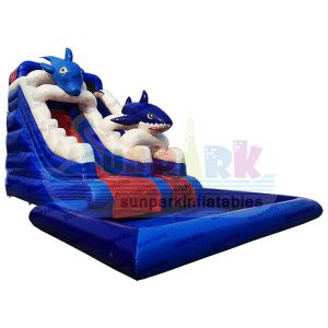 Inflatable Kids Water Slide