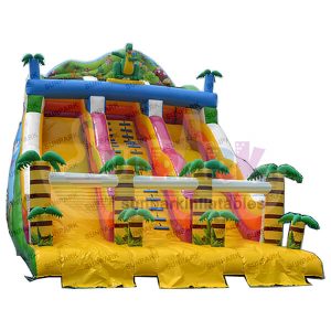 Dual Lane Inflatable Slide