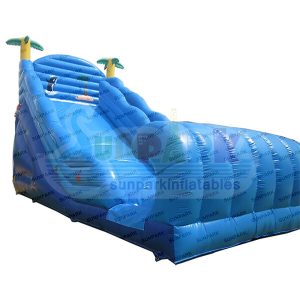 Tidal Wave Dry Slide