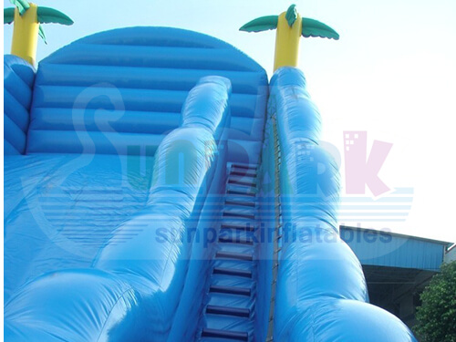 Wild Wave Dry Slide Details