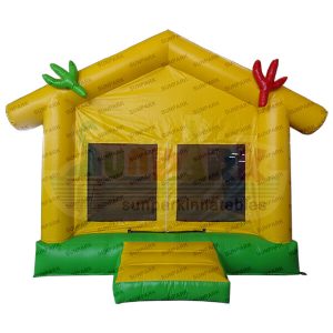 Moon Bounce Inflatable