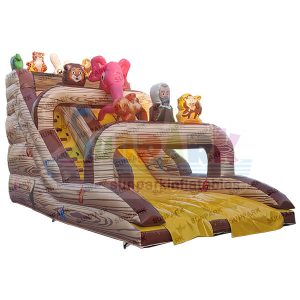 Big Slide Inflatable