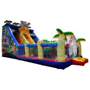 Inflatable Mega Slide